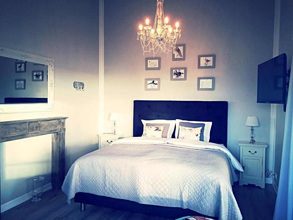 Moerk Superior Cottages クヴァンムスタンギ 部屋 写真